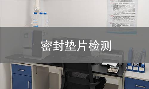 密封垫片检测