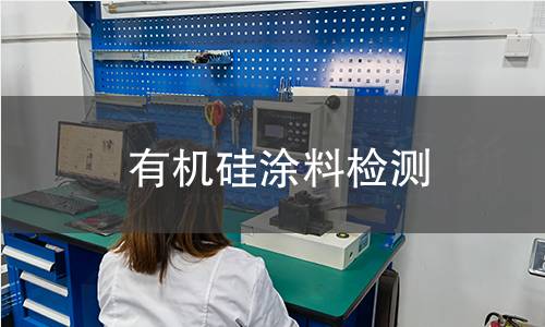 有机硅涂料检测