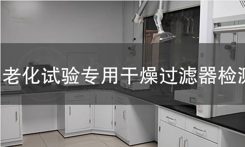 老化试验专用干燥过滤器检测
