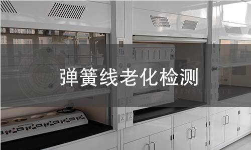 弹簧线老化检测