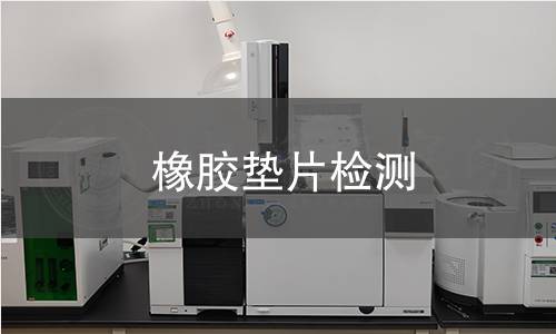 橡胶垫片检测