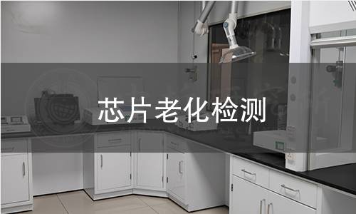 芯片老化检测