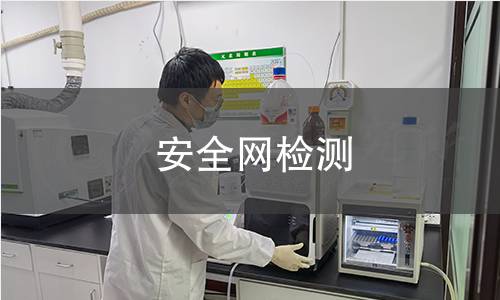 安全网检测