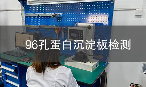 96孔蛋白沉淀板检测