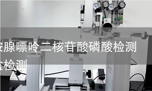烟酰胺腺嘌呤二核苷酸磷酸检测试剂盒检测