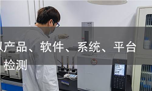 无虚拟产品、软件、系统、平台？是。检测