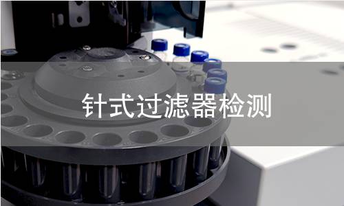 针式过滤器检测