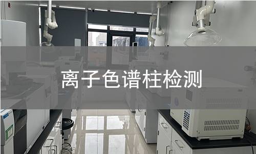 离子色谱柱检测