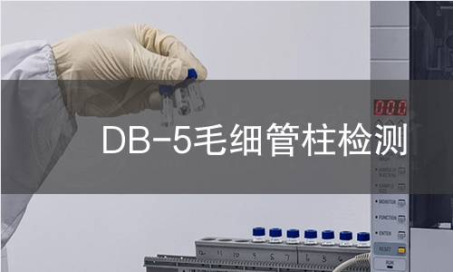 DB-5毛细管柱检测