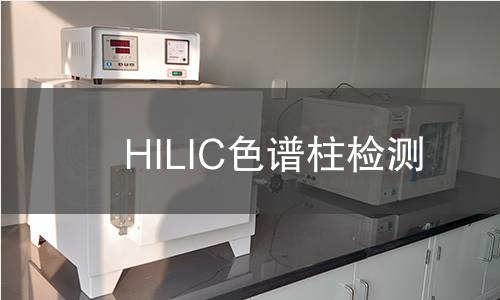 HILIC色谱柱检测