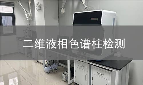 二维液相色谱柱检测