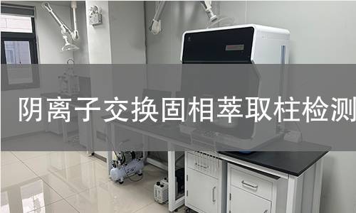 阴离子交换固相萃取柱检测