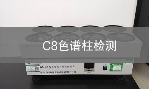 C8色谱柱检测