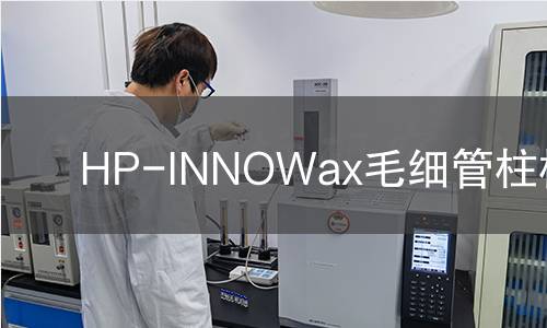 HP-INNOWax毛细管柱检测