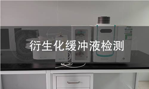 衍生化缓冲液检测