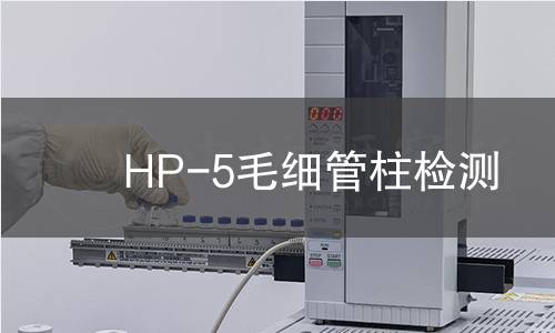 HP-5毛细管柱检测
