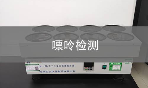 嘌呤检测
