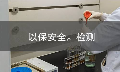 以保安全。检测