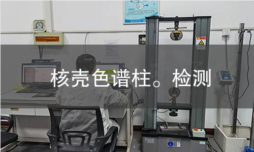 核壳色谱柱。检测