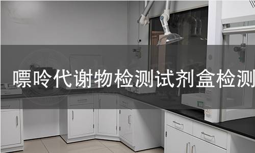 嘌呤代谢物检测试剂盒检测
