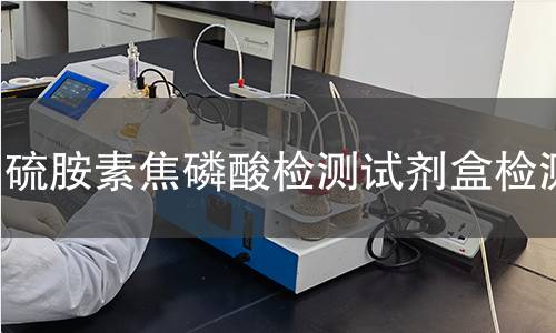 硫胺素焦磷酸检测试剂盒检测