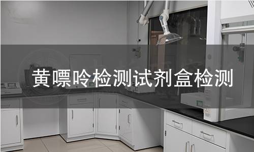 黄嘌呤检测试剂盒检测