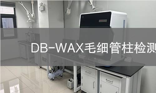 DB-WAX毛细管柱检测