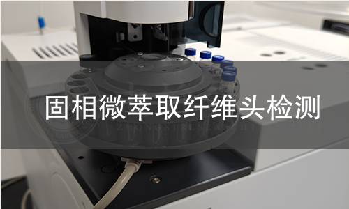 固相微萃取纤维头检测
