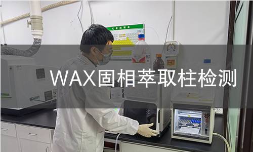 WAX固相萃取柱检测