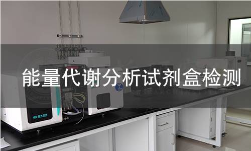 能量代谢分析试剂盒检测