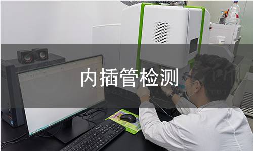内插管检测