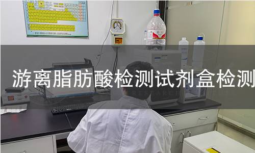 游离脂肪酸检测试剂盒检测