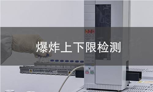 爆炸上下限检测