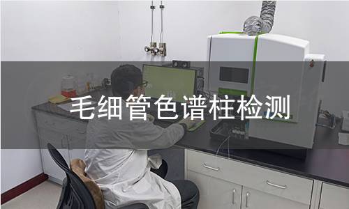 毛细管色谱柱检测