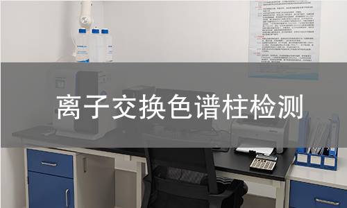 离子交换色谱柱检测