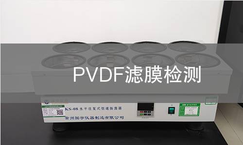 PVDF滤膜检测