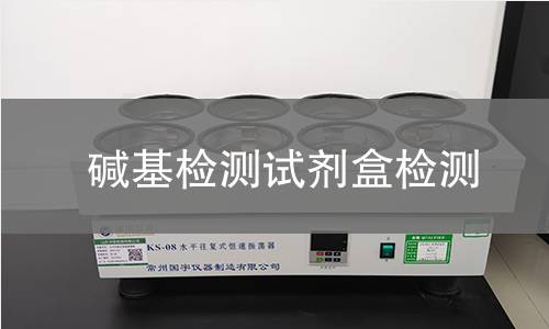 碱基检测试剂盒检测