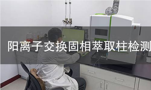 阳离子交换固相萃取柱检测