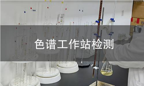 色谱工作站检测