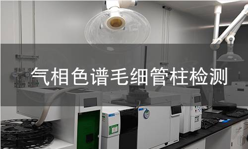 气相色谱毛细管柱检测