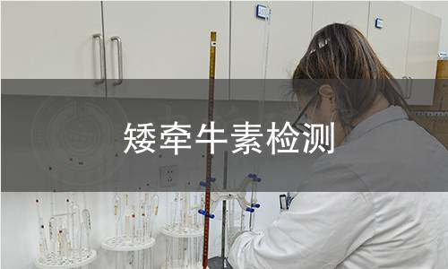 矮牵牛素检测