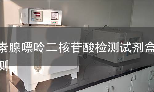黄素腺嘌呤二核苷酸检测试剂盒检测