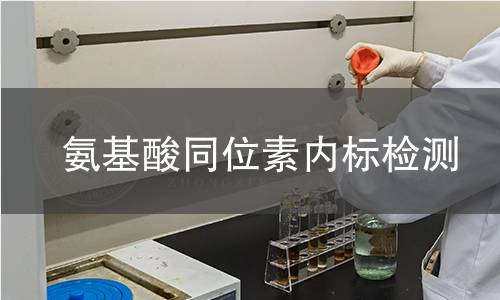 氨基酸同位素内标检测