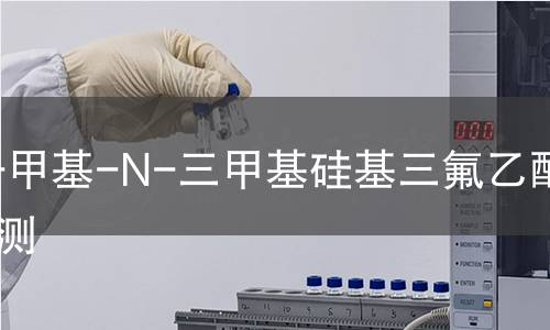 N-甲基-N-三甲基硅基三氟乙酰胺检测