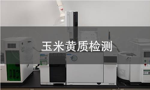 玉米黄质检测