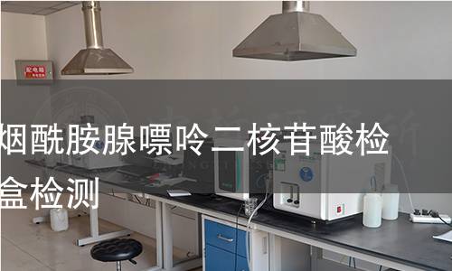 还原型烟酰胺腺嘌呤二核苷酸检测试剂盒检测