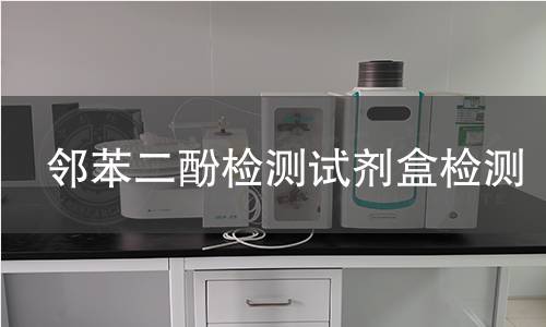 邻苯二酚检测试剂盒检测