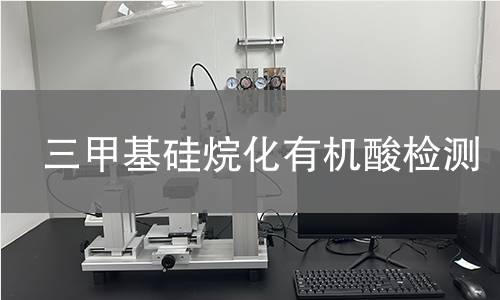 三甲基硅烷化有机酸检测
