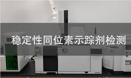 稳定性同位素示踪剂检测