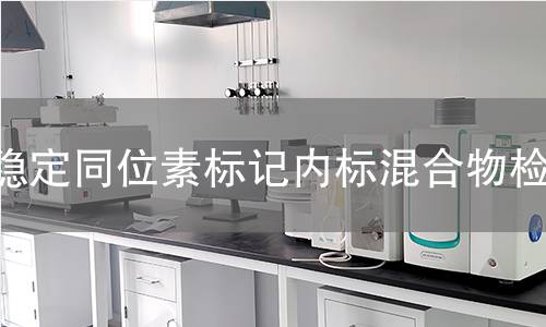 稳定同位素标记内标混合物检测